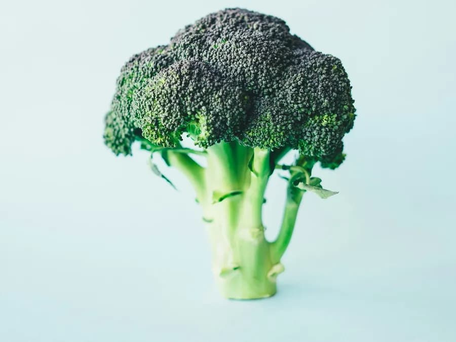 Crisp Green Broccoli